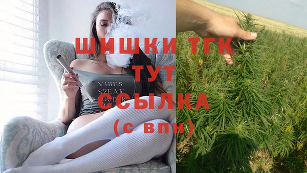 эйфоретик Абинск