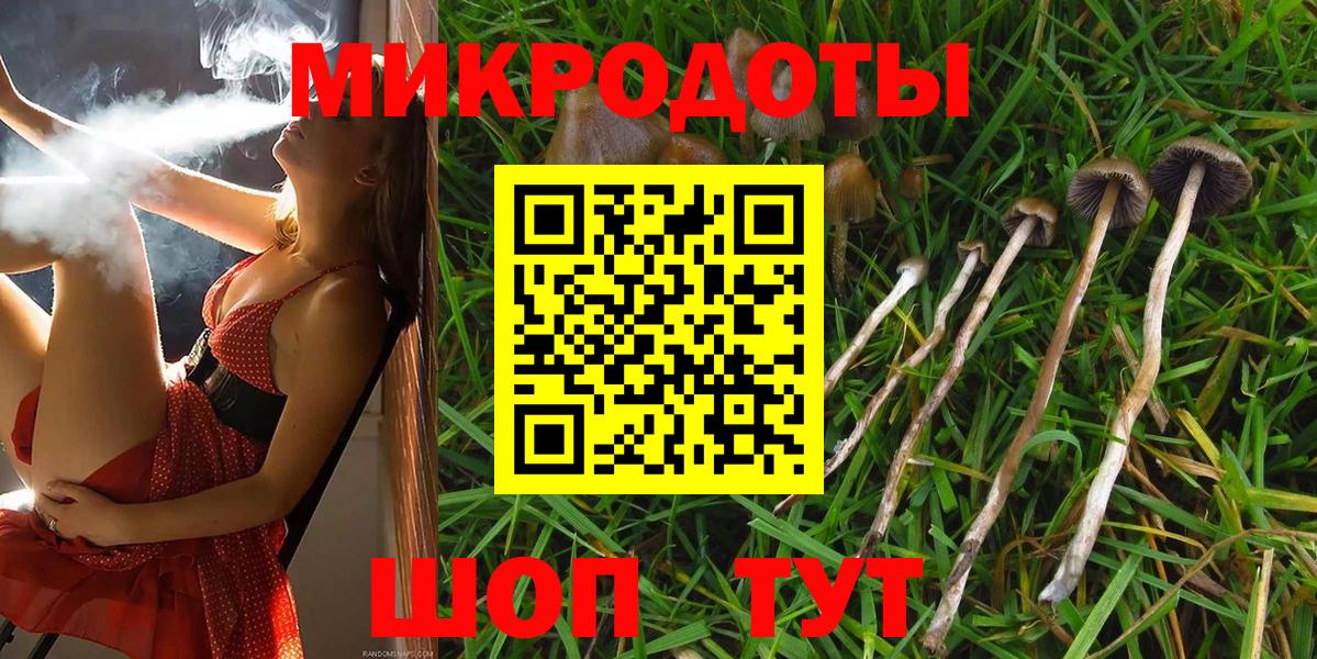 Псилоцибиновые грибы GOLDEN TEACHER  Вход с VPN  Псилоцибиновые грибы прущие грибы  Омск 