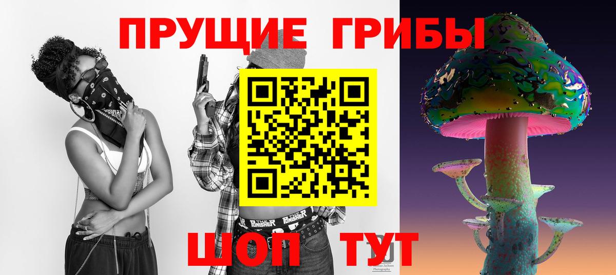 Псилоцибиновые грибы Psilocybe Омск